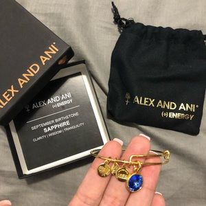 Alex and Ani September Birthstone - Sapphire